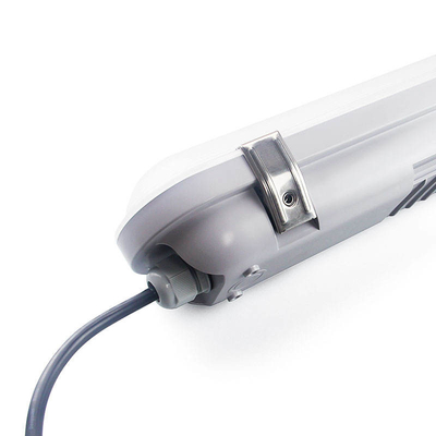 Eye Catching LED Indoor Light with Frosted/Clear PVC Cover and RGB Color Changing Display